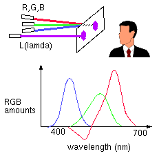 wavelength matching light experiment single case representation computer graphics